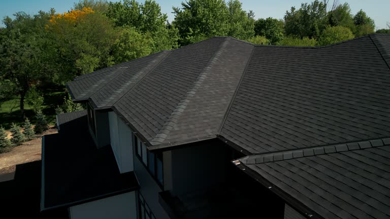 Reliable Palmer, AK Roofing service Solutions